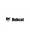 BOBCAT