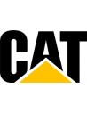 Caterpillar